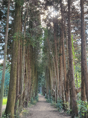 세상이 망했다.