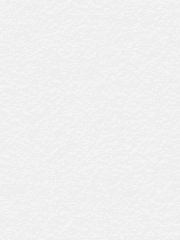 추신, 서서히 스러지는 푸른 여름의 소실이 안온을 범람했다.