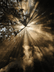 사스케가 돌아왔다