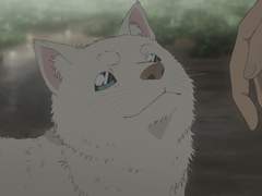 [ 코난 ] 하로와 드림주의 애완묘 마나