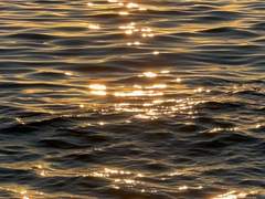 이젠 내 곁에 없지만