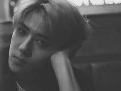 [오세훈] 하이틴 X 반인반수물 X 오세훈 모두 섞어 먹어보자