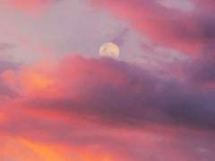 [고죠우타] 가을의 노래(1)