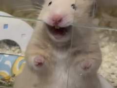 [암어쥑쥑] 10/14 OCT•(2)