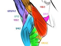 2023년 10월 14일 (토) <해부학>