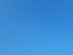 한 번이라도 하늘을 보고 싶었을 뿐.