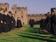 𝑩𝒓𝒐𝒐𝒎 𝒓𝒊𝒅𝒊𝒏𝒈