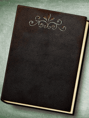 공주님의 기사는 대마법사입니다.