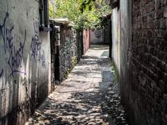 (공각) 열대야•야자수와 질주 上