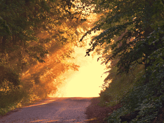 독서 모임 1회기 _ 재미있는 책을 머뭇거리며 읽기