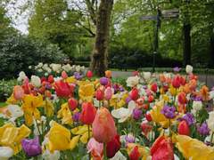 [부기] 10/15 얼렁뚱땅 어워즈: 올해의 여행