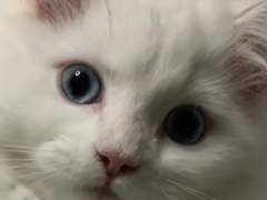 한 집 살이 정재현