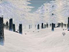 길을 잃어버리지 않도록