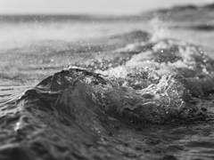 天上天下 唯我獨尊