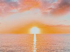 당겨 놓은 화살을 놓을 수 없다