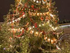 만난 지 두 번, 동거 하기로 했습니다 3