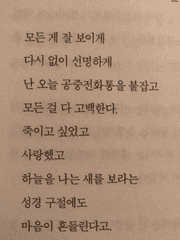 블랙 배저