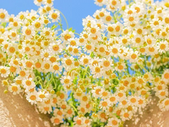 [RJ] 잔뜩 흐린 날에도. 01