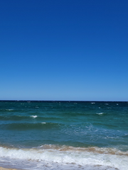 그 해 여름은 우리의 것이었다