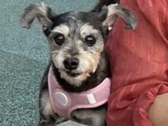 콩이 이야기-4(완)