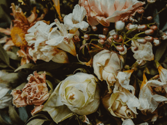 세연다온 Episode - {happy ending}