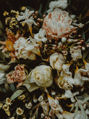 세연다온 Sad and Happy