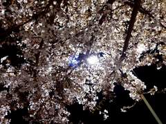 [우규/단편] 이상한 관계