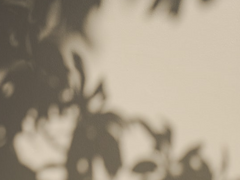 석순 짧은 낙서 만화