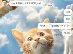 6. inmymay_FlyingCat 고양이 카톡 테마 (아이폰)-기간무료공유