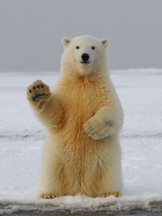 공지 및 주저리 등등등