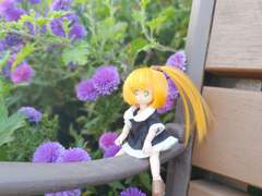 꽃축제 찰칵찰칵