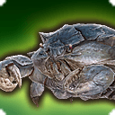 제 2회 키키<룬>부대 하우징 콘테스트 대회