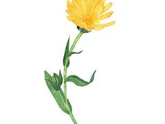 💐[이곤조영] 내 마음에 자란