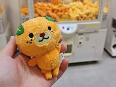 마츠야마 여행(5)