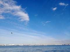 [후루카자] 그 미소를 다시 볼 수 있기를