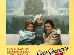 D165) 사랑의 시간 (Six Weeks, 1982)