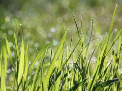 명박사/XY/의료반