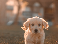 그렇게 됐습니다 2