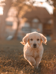 그렇게 됐습니다