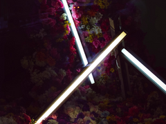 귀신을 보는 어두우르가나.