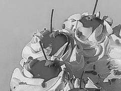 그는 무엇으로 하여금 사랑을 정의하게 만들었나.