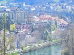 스위스 취업할 뻔한 이야기