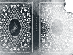 엑스트라와 아라타씨 외전본 표지