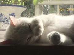 너는 내게 아름답지 않은 날이 없었다