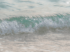 달빛에 그대를 그려보며, 나는 오늘도..