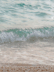 당신을 찾아왔습니다 