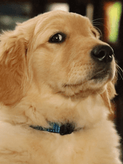 미스터리 수사반