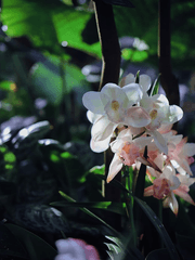 우리 엄마가 여주인공이었다.