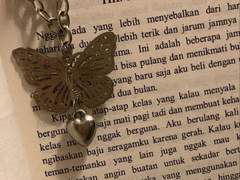 그리고 피어난 낭만은