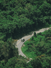 25살, 무직자의 이야기